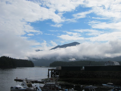 One morning, we went on a whale watch and were fortunate that it was lovely and sunny. Whale watching is a huge attraction in Tofino. Clayoquot Sound is the summer home for humpback and grey whales.