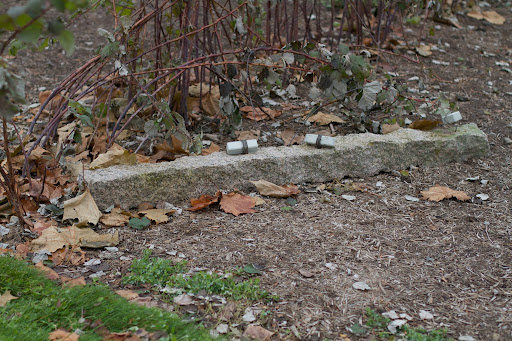 It baffles me that granite can break like this, but the snow that fell was very wet and heavy and when it accumulated on the canes, the granite could not withstand its weight.