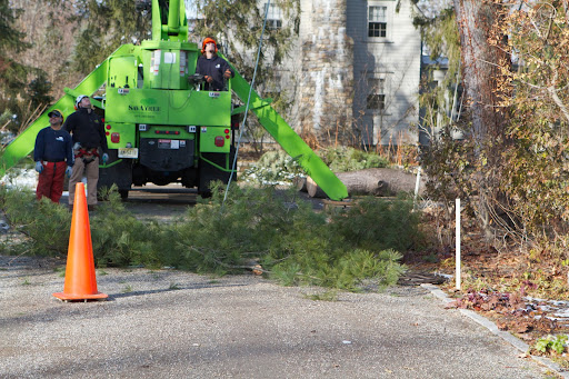 The branch segments fell to the ground. A climbing team consists of at least one other ground person who is also a climber who can take over if fatigue sets in. This team had three other climbers on the ground, including Nick, the foreman.
