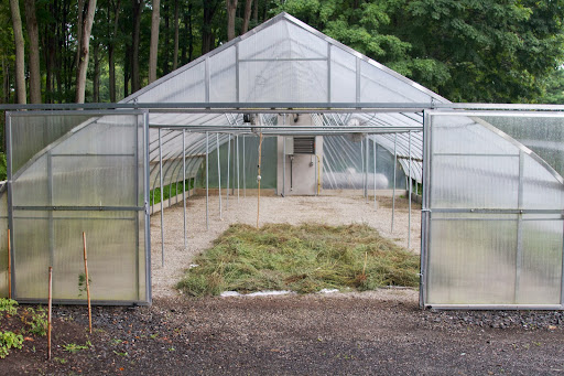 The nepeta is being dried in the now empty tropical greenhouse. When it's completely dry, it will be stored in large plastic bins.