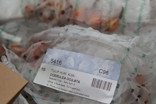 Stored in the temperature and humidity controlled warehouse, the flower bulbs are held until the full inventory is complete and the busy fall shipping season begins in mid-September.