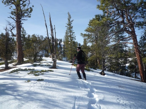 Molly Bloom - Here I am hiking in virgin snow in Red Canyon, near Bryce. We didn’t see any other people during this hike, just animal tracks.