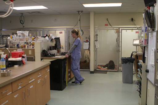 This is the recovery area where patients are closely monitored.