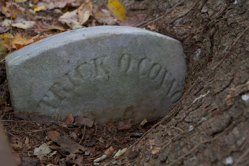 It will be a challenge freeing this stone.