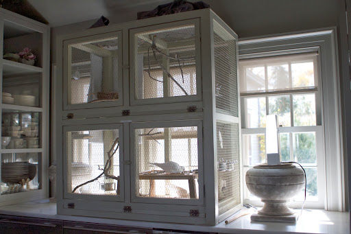Because these doves are living indoors, we have a full-spectrum lamp sitting next to the cage. Sunlight is required by birds for proper utilization of calcium to keep their bones strong and to prevent egg-laying problems.