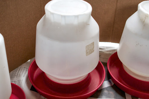 Baby chicks need plenty of clean water to drink and this is called a chick waterer. When filled with water, several chicks can drink at the same time. An open dish of water is dangerous, as chicks could drown.