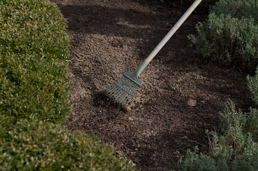 And then gently rakes it into the surface of the soil.
