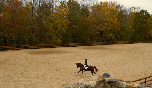 There was an exciting dressage demonstration going on by equestrienne extraordinaire Mica Mabragana, of Argentina.