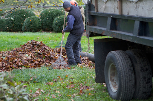 The leaves are sucked up by the large hose and fed into the back of the dump truck. When the dump truck is full, the leaves are taken to the compost area, where they are piled up and will decompose to form composted mulch.