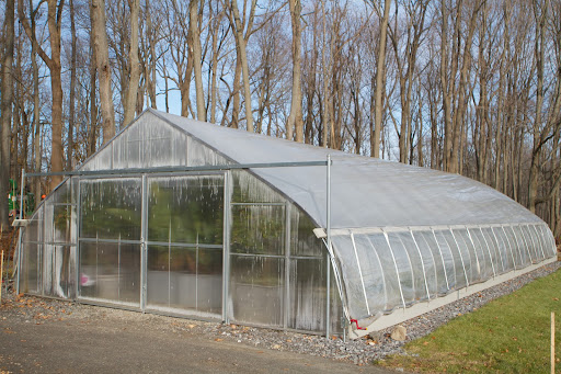 During the hurricane, trees fell all around this greenhouse, but miraculously, no trees fell on it!
