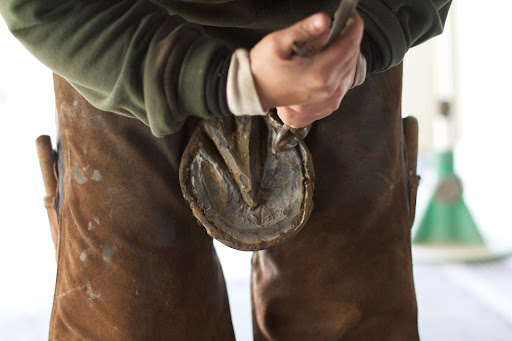 Nippers are used to remove the surplus growth of the hoof wall.