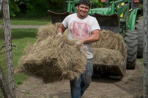 Across the way, in the new vegetable garden, Wilmer was using salt hay to line the garden paths. Salt hay is seed-free and makes a wonderful mulch.