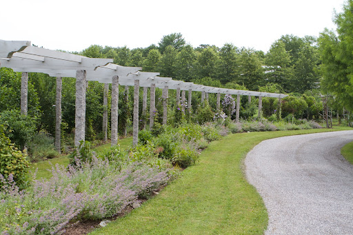 I designed this long pergola to follow the curve of the drive. Mixed purple clematis have been trained to grow up the granite posts and the border is filled with many plants, primarily nepeta, also known as cat mint.