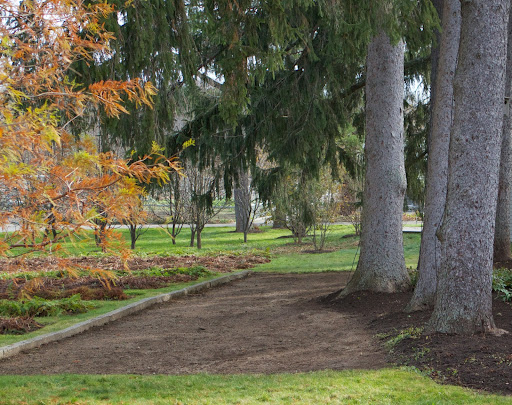 This area, which had been an unused bocce court, was the perfect spot for planting masses of colorful, spring-blooming daffodils.