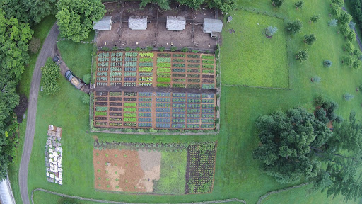 An overhead shot of my thriving vegetable garden and chicken coops. The four small structures are the slate roofed coops. The light green square in the upper-right is the chicken grazing paddock, and the rectangular garden in the lower-center is the pumpkin patch and the newly planted boxwood nursery.