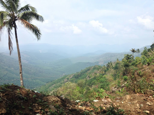 From Kochi, it was a 4 hour drive along winding mountain roads to reach Thekkady, our destination. We got some breathtaking views from the road.