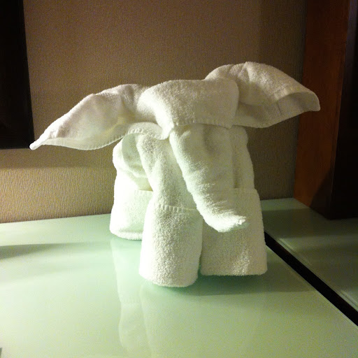 When I got off the plane, our driver, Paul Somersal, brought me to the Radisson hotel to get lunch. I found this adorable elephant in my room.