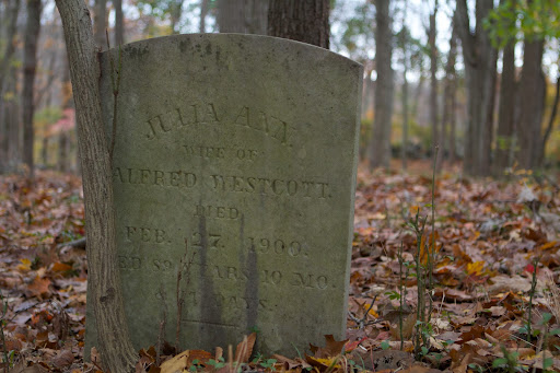 Many members of the Westcott family are buried here. This headstone is inscribed Julia Ann - Wife of Alfred Westcott - Died Feb. 27, 1909 - Aged 89 years 10 Mo. & 11 days.