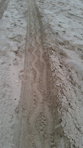 These are the tracks she made while being dragged backward. It was a wet and chilly 4th of July, but we had so much fun together!