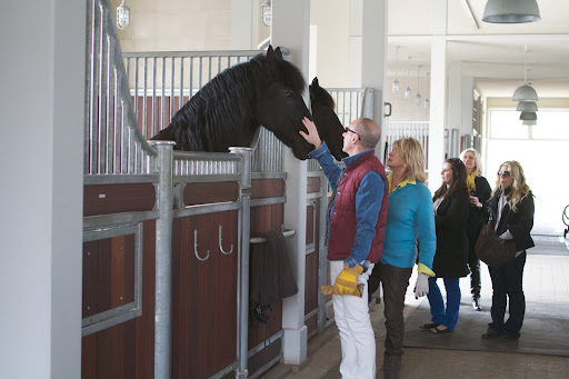 I introduced Matt to a couple of my handsome Friesian horses. Behind me is Kelly Galvin of The Susan Magrino Agency, Susan Magrino - my publicist, and Daisy Schwartzberg - my make-up artist.