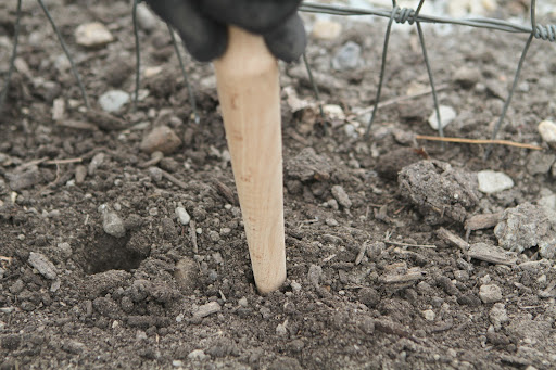 Dibbers can be traced back to the early Romans and this clever tool design has remained basically the same ever since.