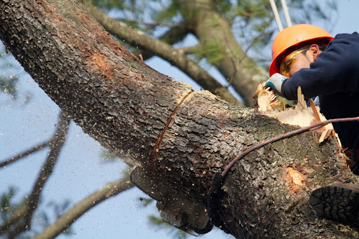 This skilled work is performed with the smallest possible saw that can get the job done efficiently.