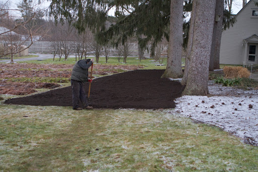 This is a brand new narcissus bed, planted with 3,000 bulbs, all arranged in individual groupings. It will be spectacular come spring!