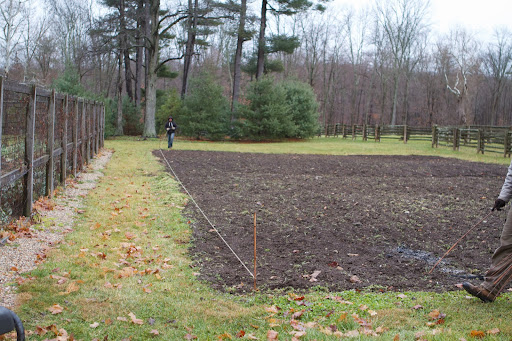 This bed is in full sun, the soil is well-drained, and has been amended with plenty of organic matter from the farm's compost yard.