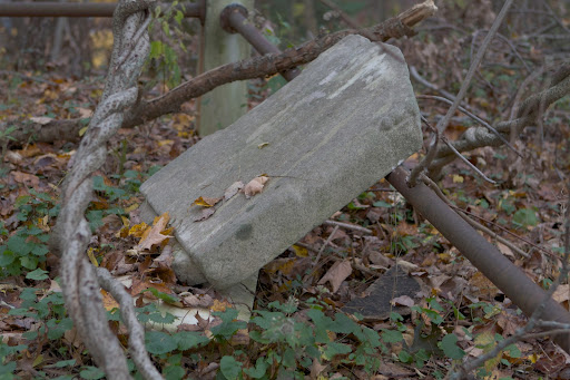 FBBG has no plans right now to begin this restoration project.