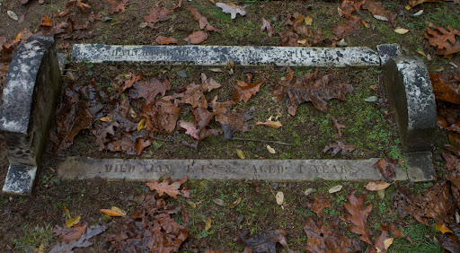 This is a little girl's grave who died in 1883 at the age of 4. Sadly, old cemeteries serve as a reminder at how much infant and childhood mortality there was, as vaccines and antibiotics were non-existent and getting ill was all-too-often the kiss of death.