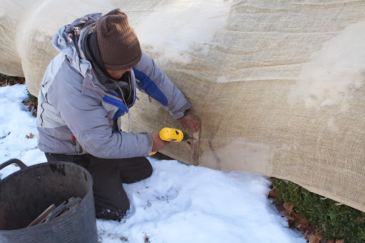 He screwed the wooden strip securely to the stake, causing the burlap to cozy around the boxwood.