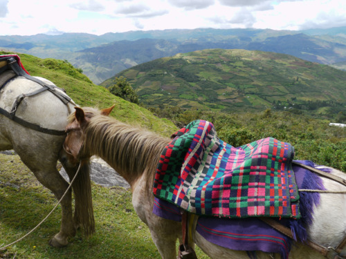 And finally, my last leg of the ride on this friendly pony