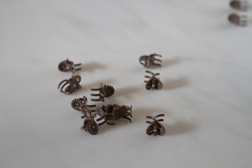 Just as hair clips, orchid clips are spring-loaded and are commonly used to secure orchid blossoms to their stakes.