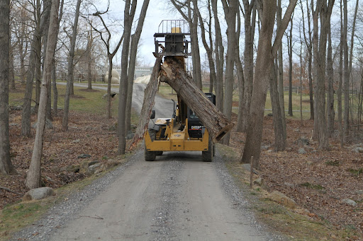 Transporting the hickory