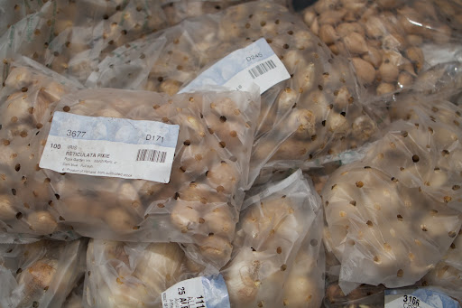 Van Engelen offers flower bulbs in larger quantities with wholesale pricing, while John Scheepers offers the same high quality bulbs in smaller quantities.