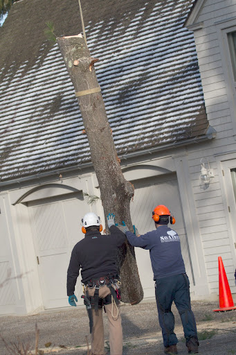 And carefully lowered to the ground, where the ground crew moved it aside. These log segments average 1,800 pounds.