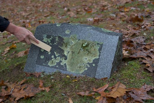 Jenny demonstrated how they go about removing lichen, using a simple wooden shim.