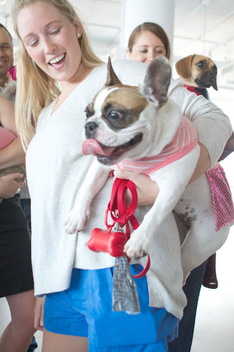 Tersey Regan and her pup, Molly, wearing the pink and white Sequin Dress http://goo.gl/aZUe4v