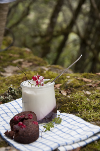 Rich and creamy La Fermière yogurt in glass jars made a nice visual accompaniment to the financiers. I wish I could find this rich yogurt in the U.S.