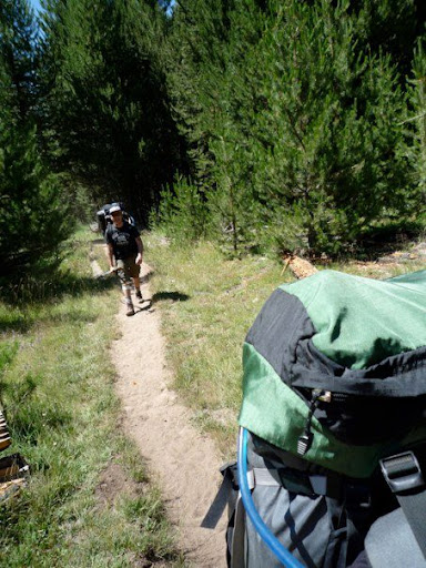 On the trail in Echo Valley - At Merced Lake,