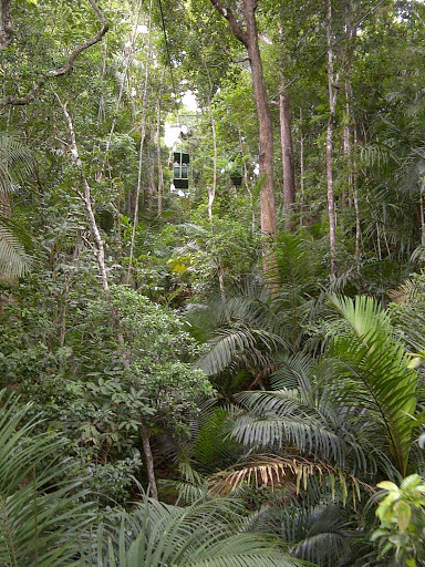 The Gamboa Resort has a rain forest canopy tour where one can see monkeys, sloths, and tropical birds.