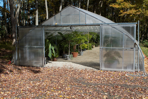 However, the greenhouse was finally complete and the plants were moved indoors. With a good pruning, the damaged plants came back nicely over the winter.