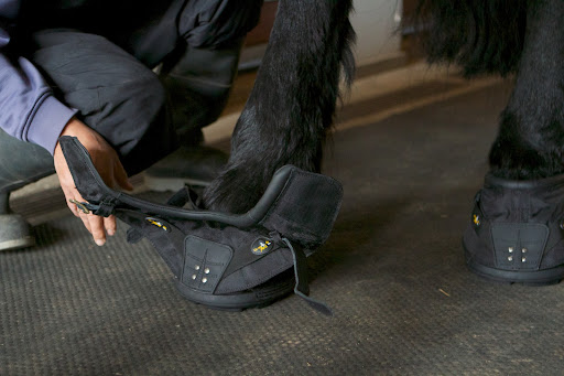 A pastern wrap secures the boot to the hoof using a hook and loop system.