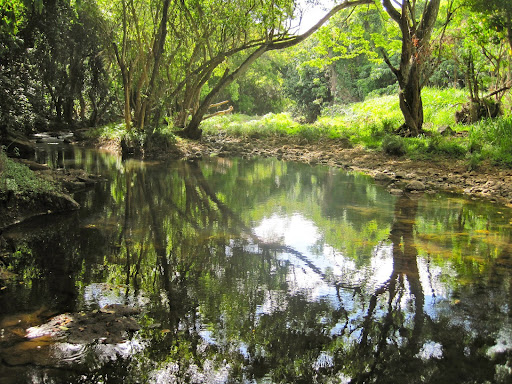Afterwards, we hiked back through the forest to the river bank and got a ride back to town. Many of the hiking paths had been destroyed recently by large amounts of rainfall and flooding, so we had to take a few alternate routes.