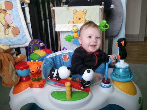 TJ, 5 months old