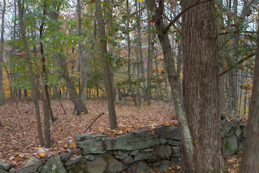 Looking through the trees, you can barely make out the headstones still standing in this old cemetery which, by the way, is landlocked on private property. This particular plot, known as Cantitoe Cemetery, was formerly called Westcott Cemetery.
