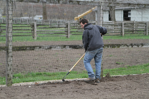 Ryan started the pea planting process by smoothing out the garden edge along the fence using a hard garden rake.
