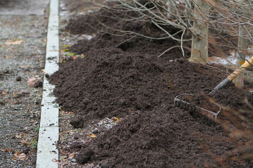 You'll also spend less time watering because the mulch helps to keep the soil beneath moist and cool.