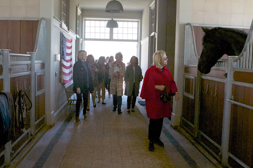 The horse stalls are from an English company, Loddon, and they're trimmed with galvanized steel. http://www.loddon.co.uk/