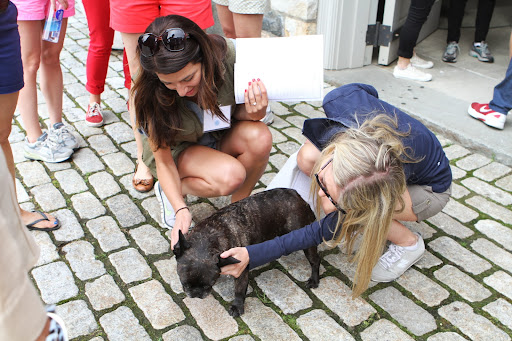 Francesca, one of my French bulldogs is very sociable. Here she is with Jordan Vaughan and Kelly Brent.